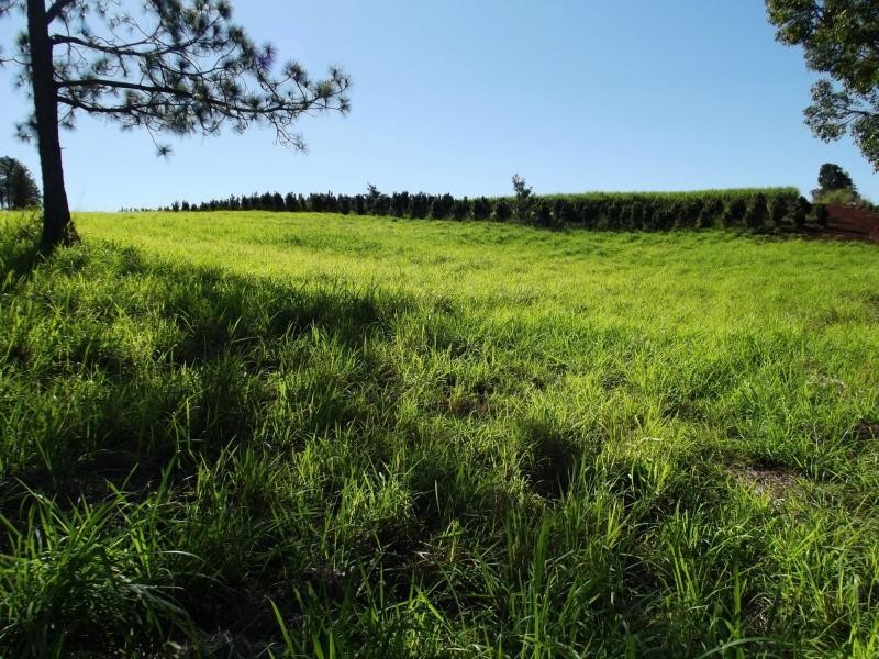 L21 Rainbows Road, Childers, South Isis QLD 4660