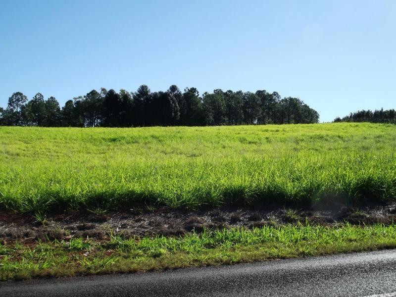 L21 Rainbows Road, Childers, South Isis QLD 4660