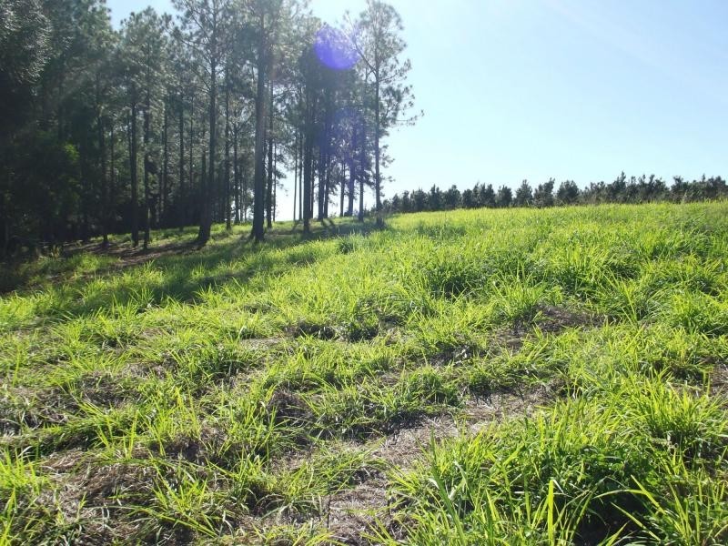 L21 Rainbows Road, Childers, South Isis QLD 4660