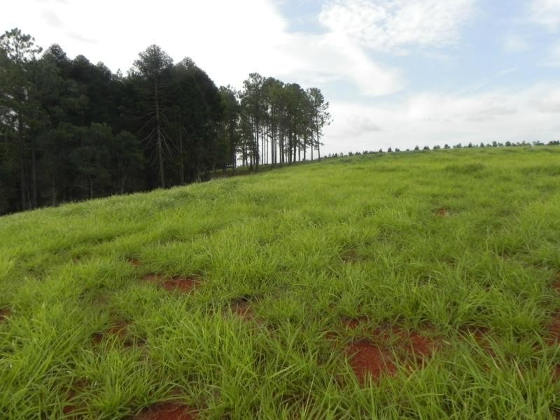 L21 Rainbows Road, Childers, South Isis QLD 4660