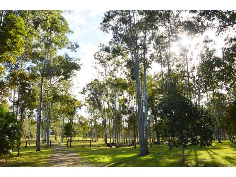 796 Buxton Road, Isis River QLD 4660