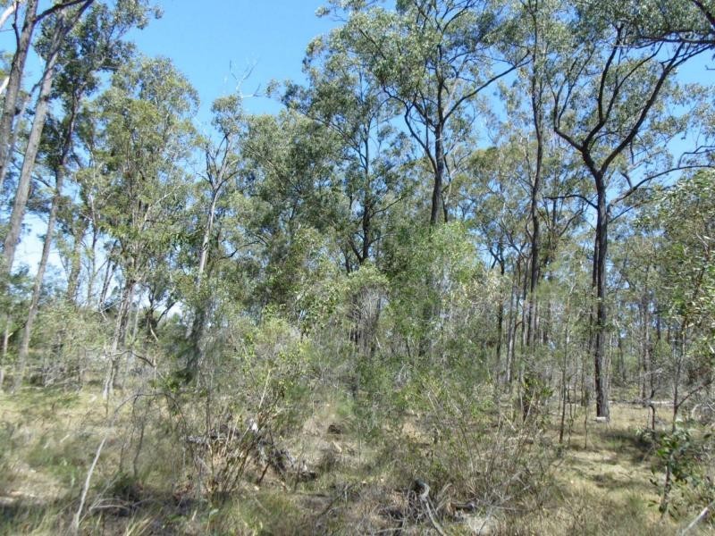 104 Gregory Drive, Childers, Redridge QLD 4660