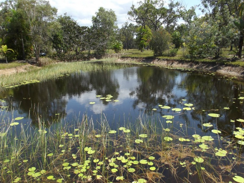 1308 Buxton Road, Buxton QLD 4660