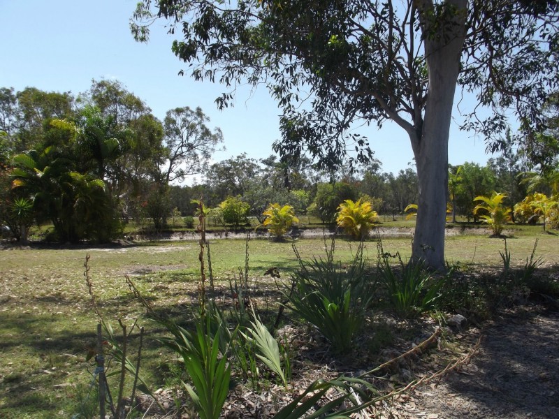 1308 Buxton Road, Buxton QLD 4660