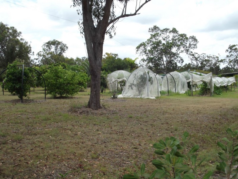 1308 Buxton Road, Buxton QLD 4660