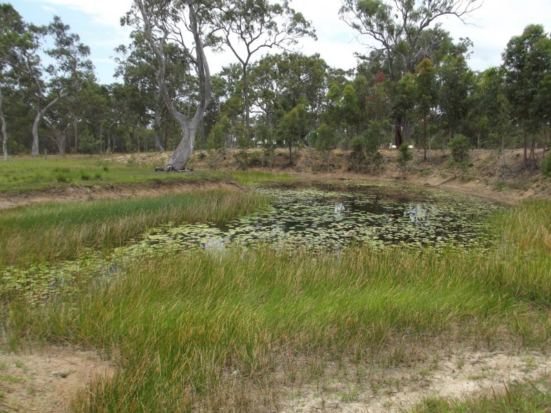 1308 Buxton Road, Buxton QLD 4660