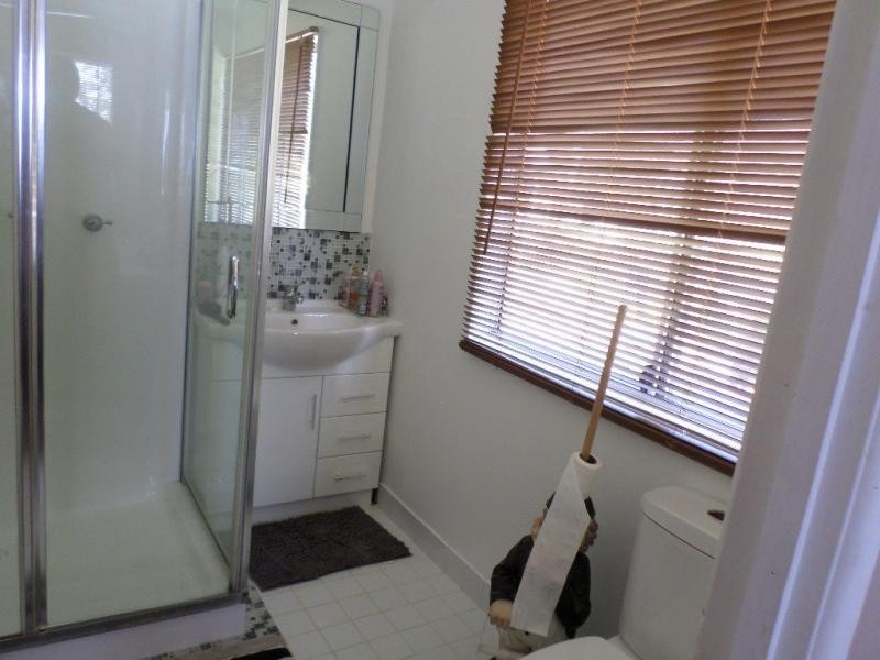 299 Bunns Road, Childers, Apple Tree Creek QLD 4660