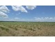 166 McCarthys Road, North Gregory QLD 4660