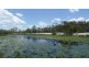 166 McCarthys Road, North Gregory QLD 4660