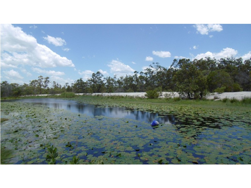 166 McCarthys Road, North Gregory QLD 4660