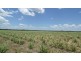 166 McCarthys Road, North Gregory QLD 4660