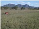 48 Fenwicks Road, Biggenden QLD 4621
