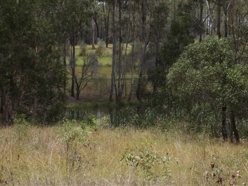 Apple Tree Creek QLD 4660
