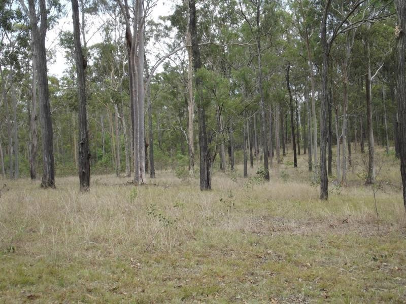 Apple Tree Creek QLD 4660