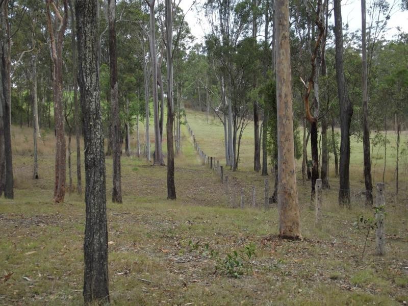 Apple Tree Creek QLD 4660