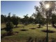 6 Melaleuca Court, Childers, Redridge QLD 4660