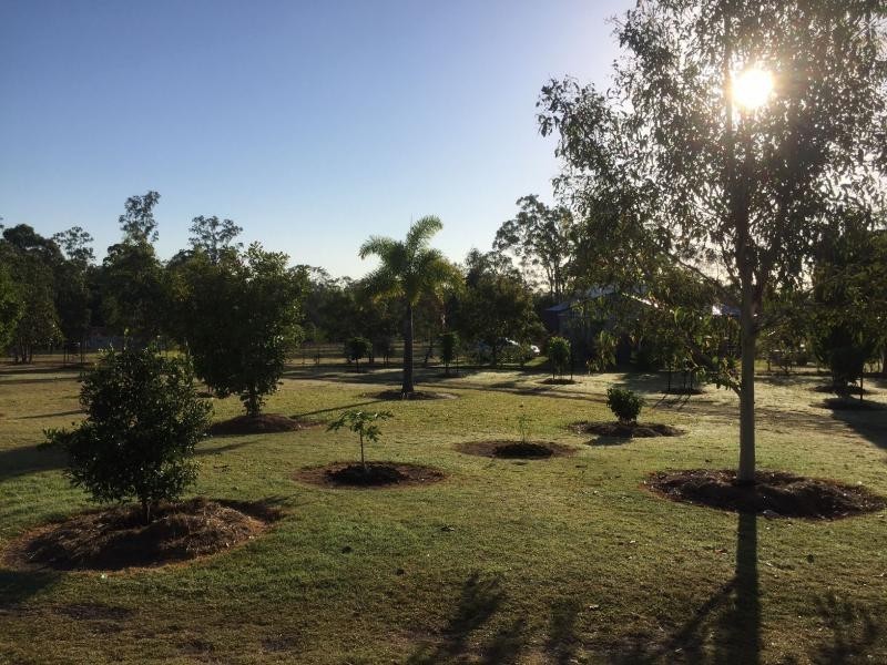6 Melaleuca Court, Childers, Redridge QLD 4660