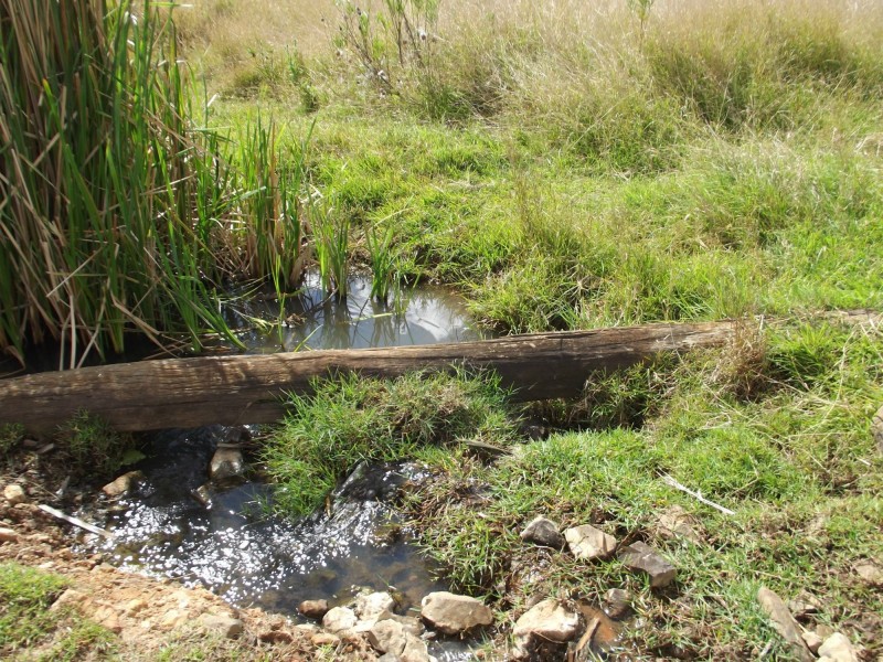 16 Harney Street, Childers QLD 4660