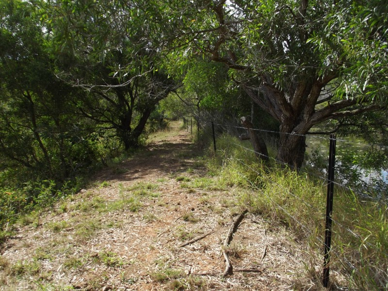 16 Harney Street, Childers QLD 4660