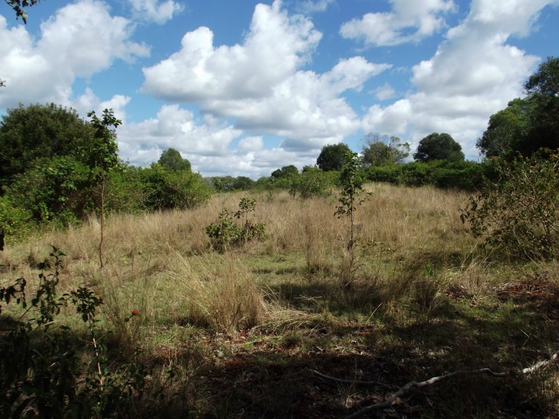 16 Harney Street, Childers QLD 4660