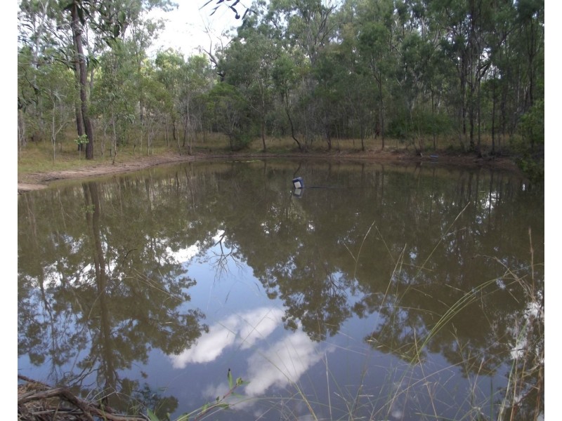 366 MT Goonaneman Road, Dallarnil QLD 4621