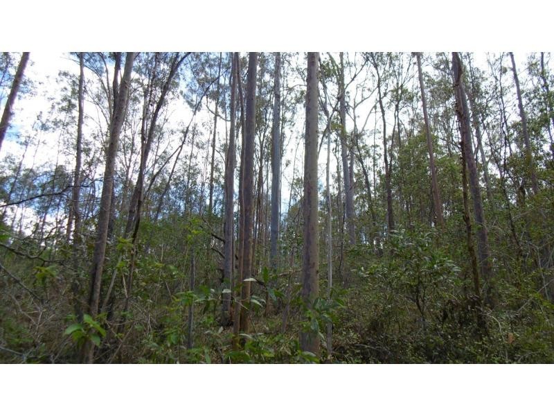 91 Everetts Road, Childers, South Isis QLD 4660