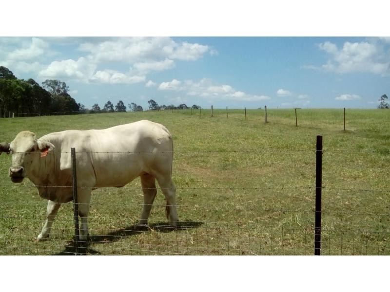510 Promisedland Road, Childers, Promisedland QLD 4660