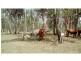 510 Promisedland Road, Childers, Promisedland QLD 4660