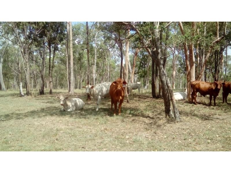 510 Promisedland Road, Childers, Promisedland QLD 4660