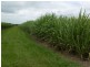 900 Farnsfield Road, Farnsfield QLD 4660