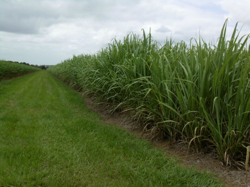 900 Farnsfield Road, Farnsfield QLD 4660