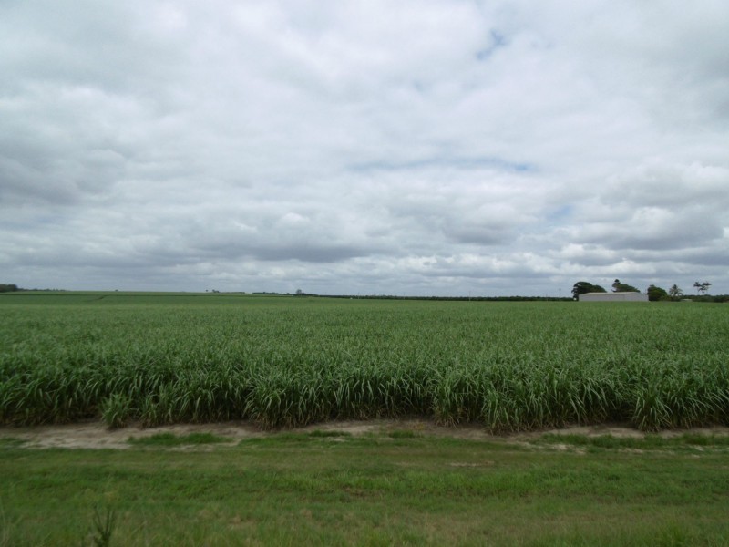 900 Farnsfield Road, Farnsfield QLD 4660