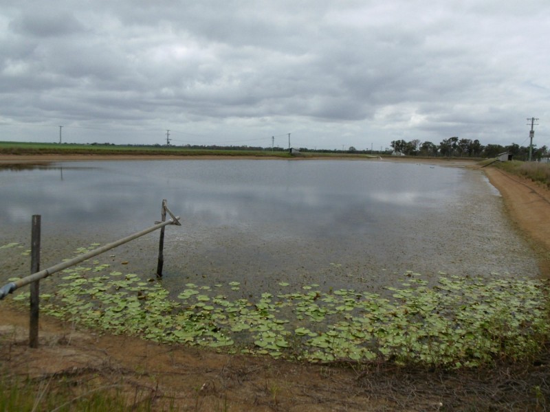 900 Farnsfield Road, Farnsfield QLD 4660