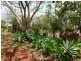 16 Queen Street St, Cordalba QLD 4660