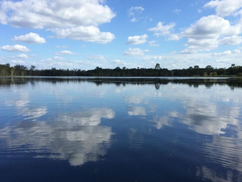 403 Abington Road, Childers, Abington QLD 4660