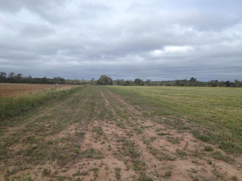 403 Abington Road, Childers, Abington QLD 4660