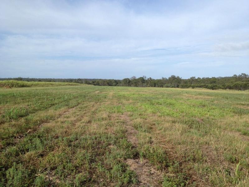 403 Abington Road, Childers, Abington QLD 4660