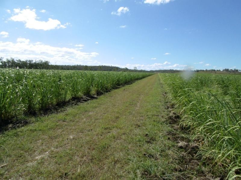 70 Cloyne Road, Gin Gin, Drinan QLD 4671