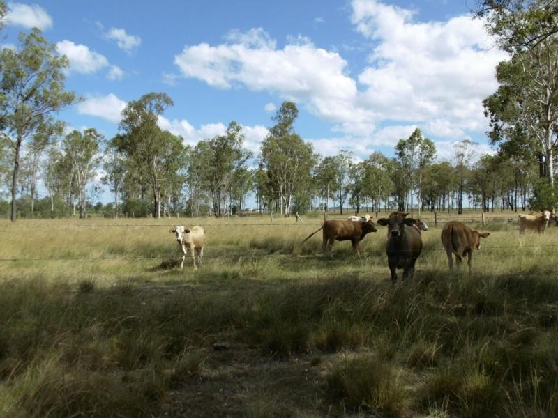 70 Cloyne Road, Gin Gin, Drinan QLD 4671