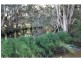 L104 Knockroe Road, Childers, North Isis QLD 4660