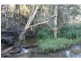 L104 Knockroe Road, Childers, North Isis QLD 4660