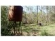 L104 Knockroe Road, Childers, North Isis QLD 4660