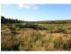 L104 Knockroe Road, Childers, North Isis QLD 4660