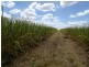 417 & 345 Kevin Livingston Drive, Childers, Isis Central QLD 4660