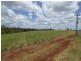 417 & 345 Kevin Livingston Drive, Childers, Isis Central QLD 4660
