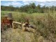 417 & 345 Kevin Livingston Drive, Childers, Isis Central QLD 4660