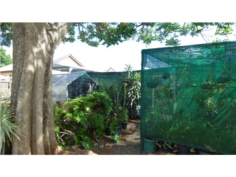 25 Nelson St St, Childers QLD 4660