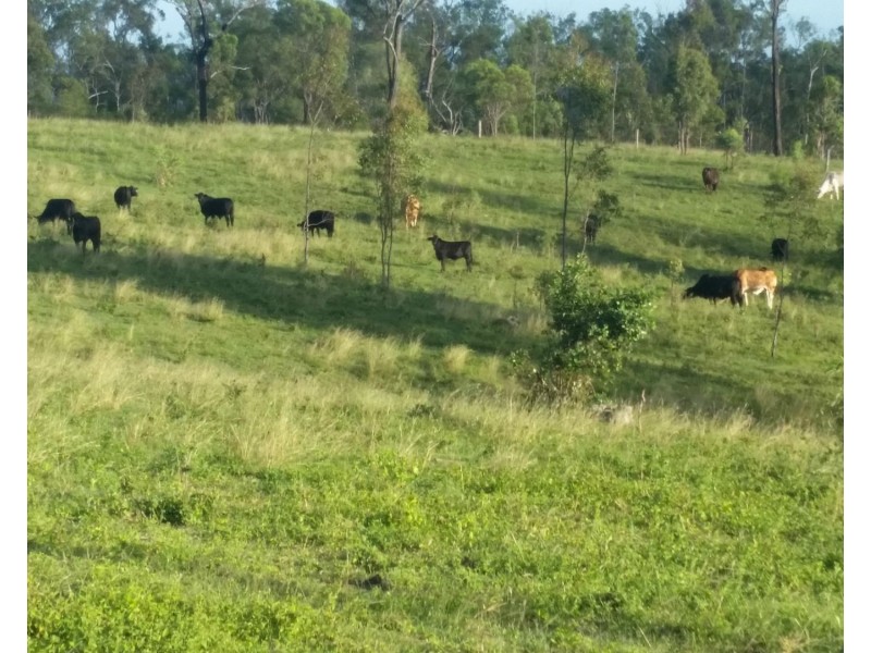 443 Railway Road, Booyal QLD 4671