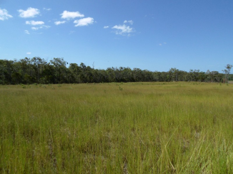 459 Garryowen Road, Farnsfield QLD 4660