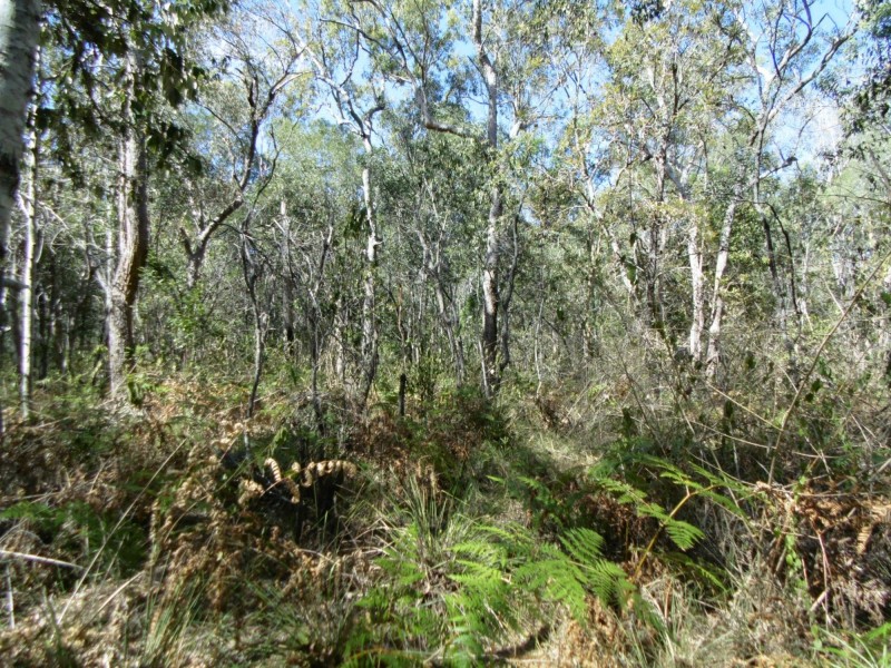 459 Garryowen Road, Farnsfield QLD 4660